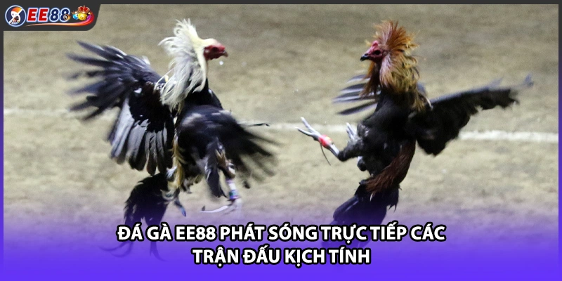 Đá gà EE88 phát sóng trực tiếp các trận đấu kịch tính